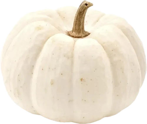 Ağ boranı