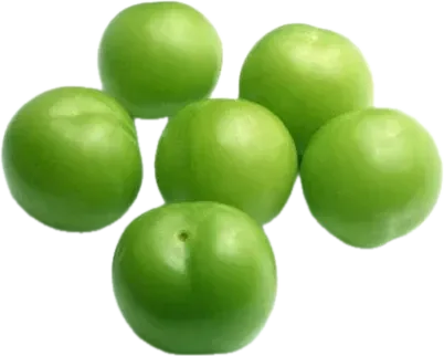 Alça