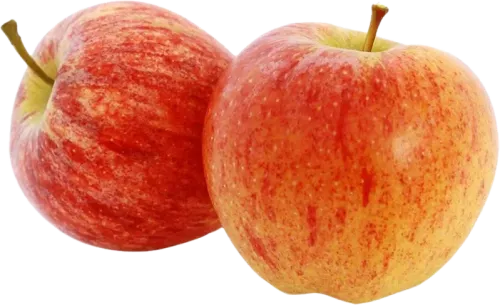 Fuji Apple