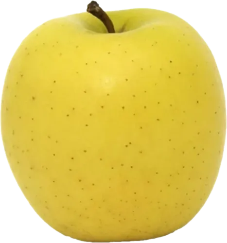 Golden Apple
