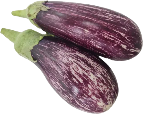 Alaca Badımcan