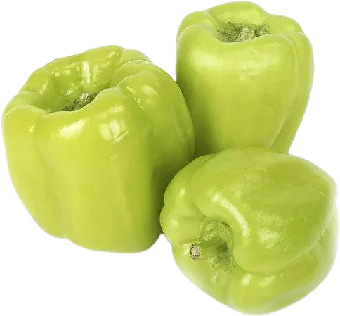 Dolma Bibər