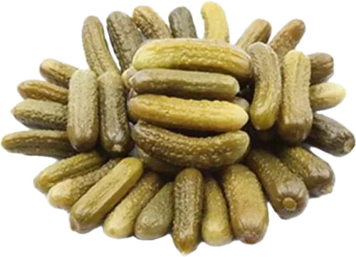 Xiyar Turşusu