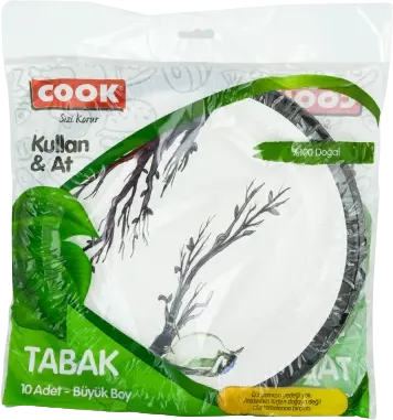 Böyük karton boşqab