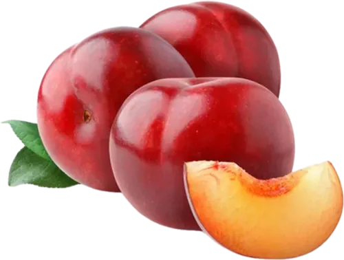 Qırmızı mandarin