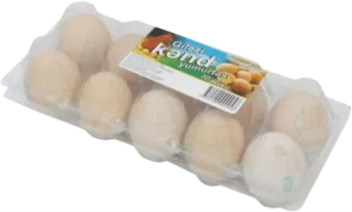 Sarı Yumurta