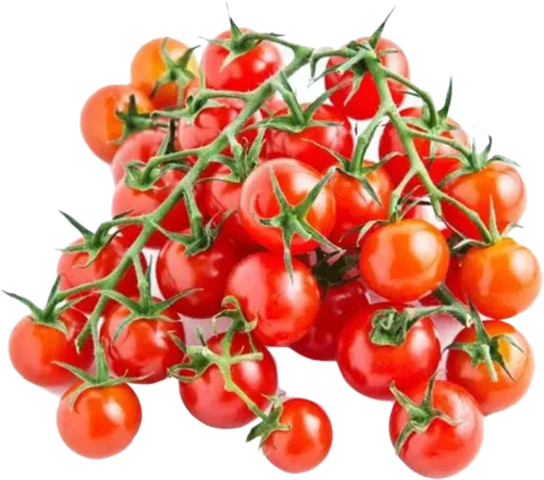 Gözəl Təbiət cherry pomidor