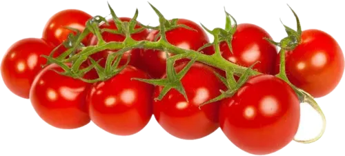 Gözəl Təbiət Salxım Pomidor