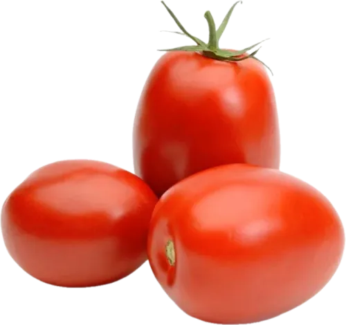 Gözəl Təbiət Sivri Roma Pomidor