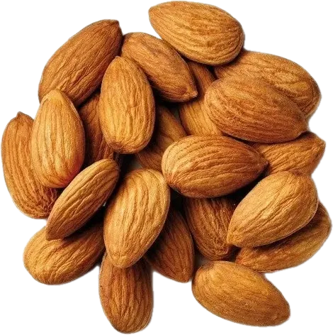 Badam İçi