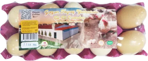 Free Range Eggs