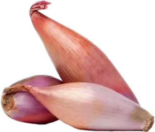 Hovsan soğanı