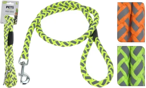 Dog Leash Neon