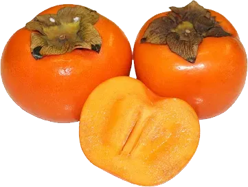 Karalyok Yasdı