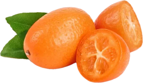 Kinkan