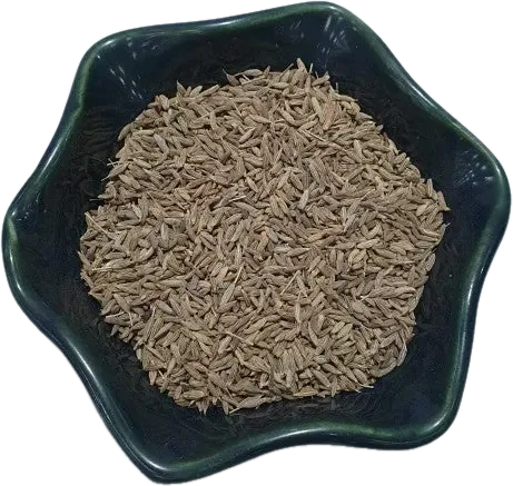 Çam qozları