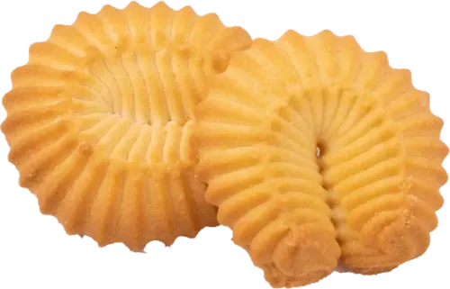 Nal Biscuit
