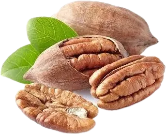 Walnuts in Shell Chili