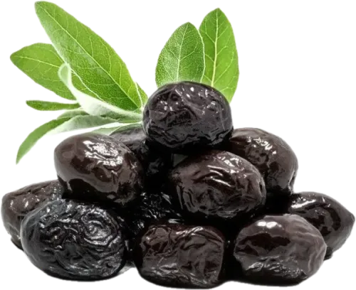 Quru Zeytun