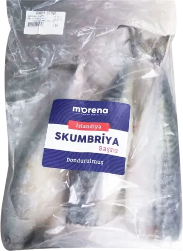 Скумбрия Головы и Хвосты