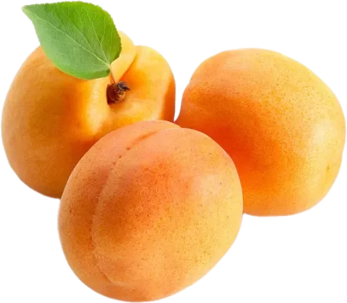 Sarı Nektarin