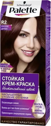 Palette Hair Dye Color R2