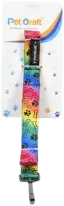Walking Leash