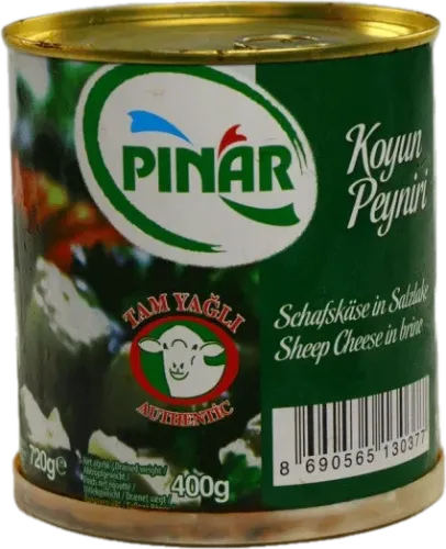 Qoyun Pendiri Tənəkədə
