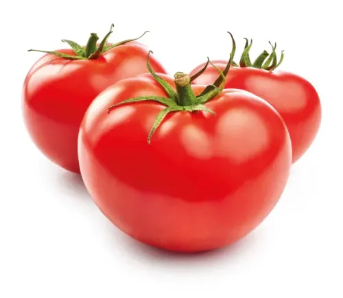 Pomidor