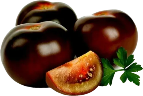 Salkım Pomidor