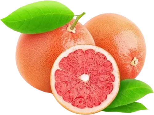 Qreypfrut