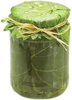 Shani Üzüm Yarpağı