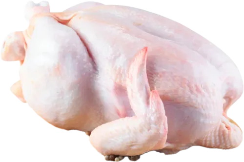 Fresh Chicken