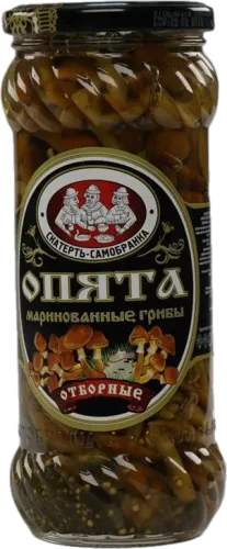 Pickled Oyster Mushrooms
