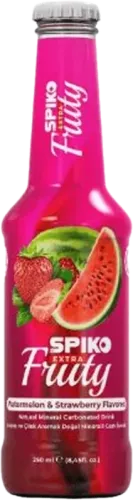 Sparkling Watermelon Juice