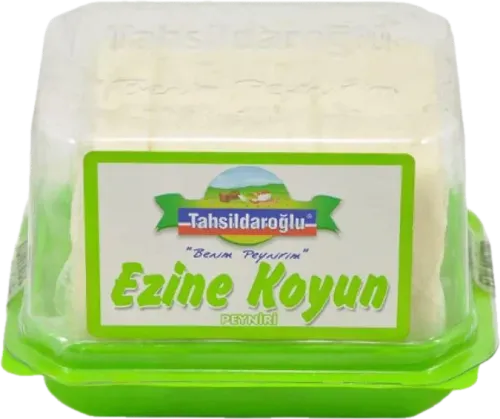 Ezine Qoyun Pendiri