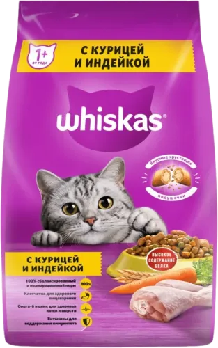 Cat Food