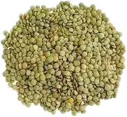 Green Lentils