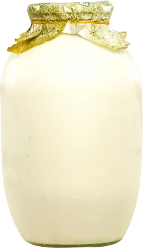 Kənd qatığı