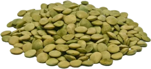 Green Lentils