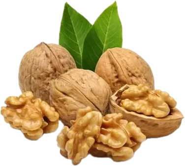 Ordubad Walnut Kernels