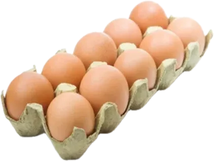 Yumurta Sarı