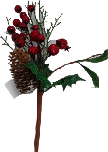 Dried Fruit Decor