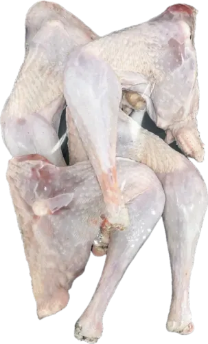 Fresh Whole Turkey Leg